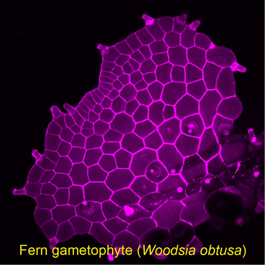 Wu et al., 2022