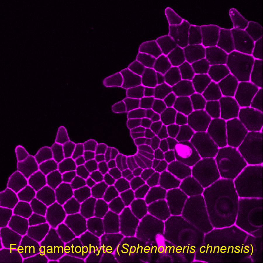 Wu et al., 2022